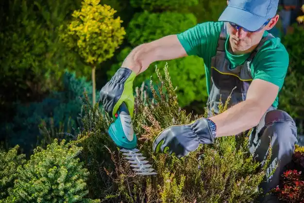 landscaping services Crenshaw